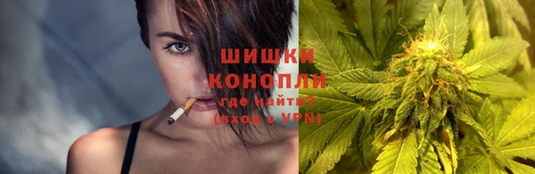дмт Медногорск