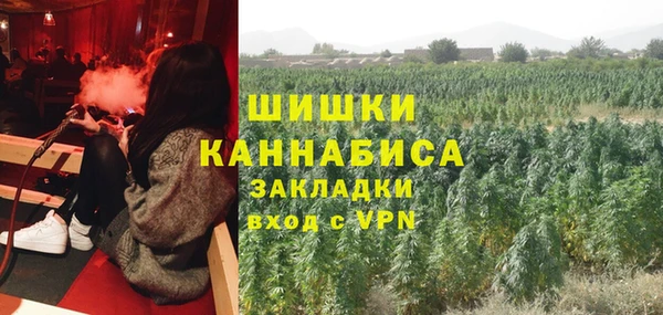 ALPHA PVP Мегион