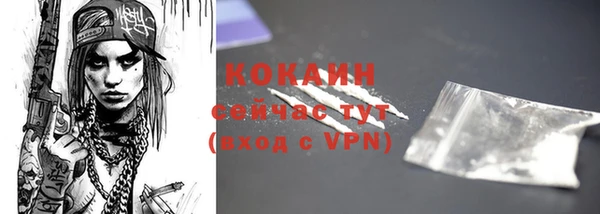 дмт Медногорск