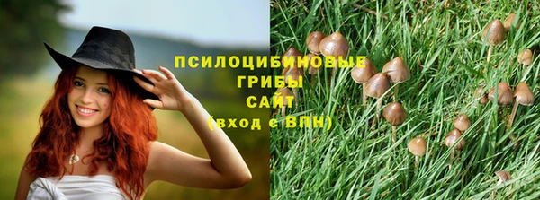 ALPHA PVP Мегион